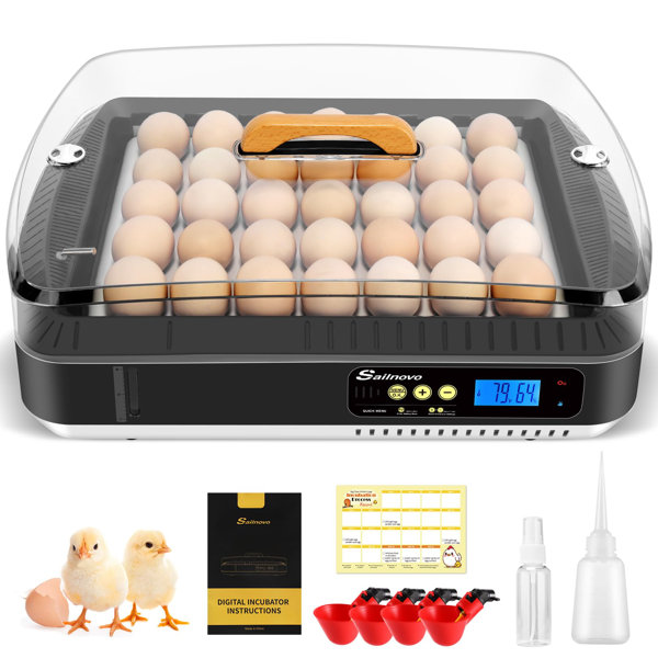 Himimi Chicken Egg Incubator For Up To 30+ Eggs & Reviews Wayfair